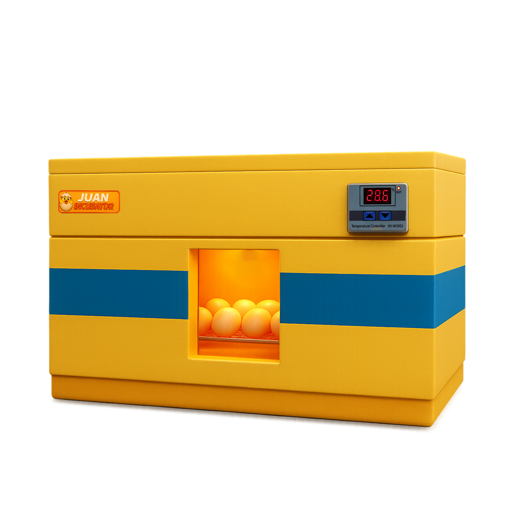 Semi-automatic Incubator (80 Capacity)